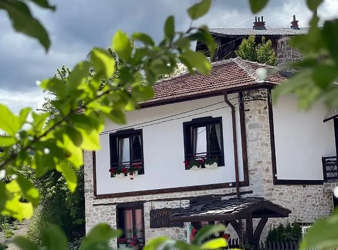 Kutsinska House 4* Progled