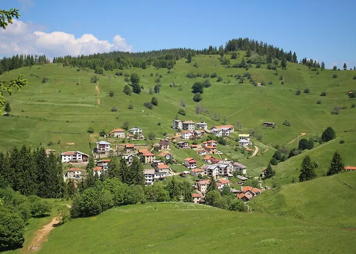 招待所 Kutsinska House