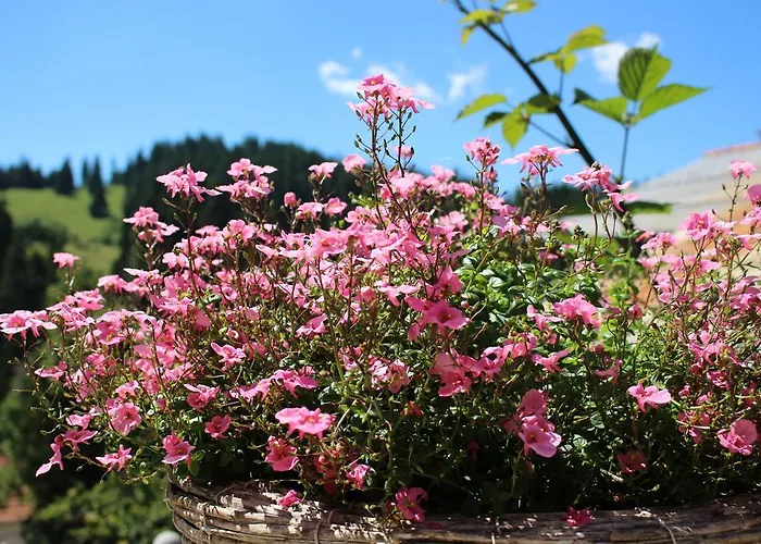 招待所 Kutsinska House