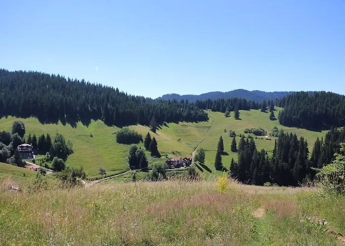 Kutsinska House Progled