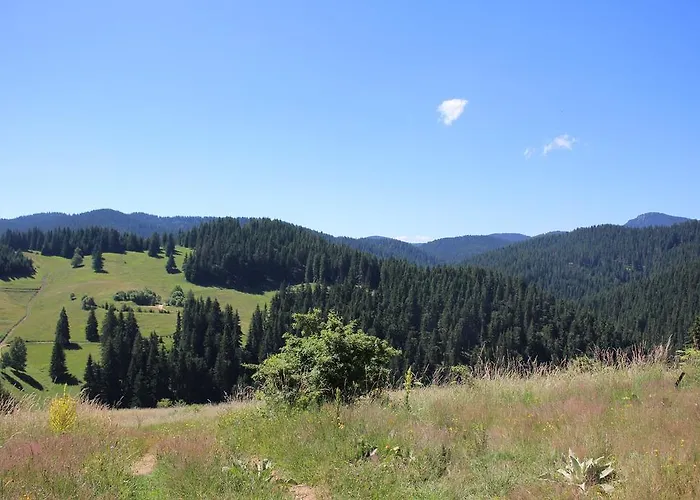 Kutsinska House Progled