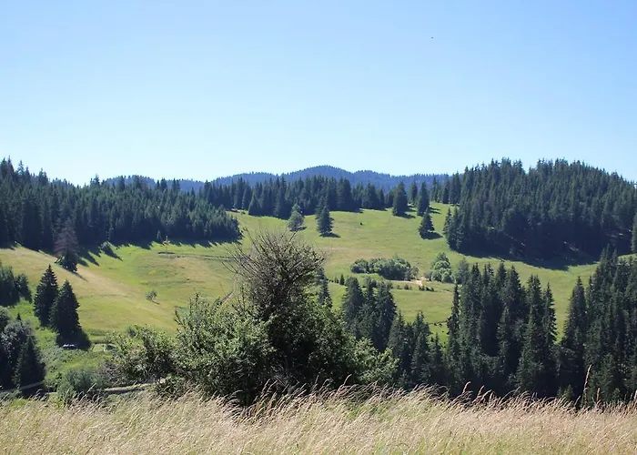 Kutsinska House Progled