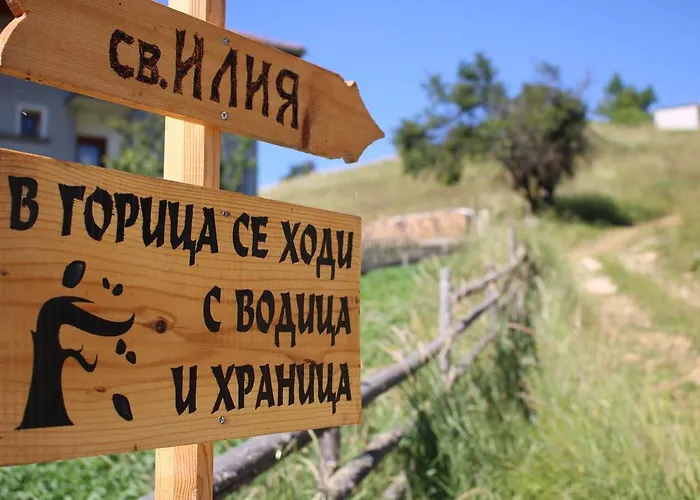 招待所 Kutsinska House