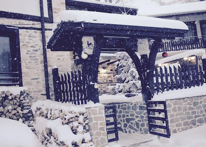 招待所 Kutsinska House 4*