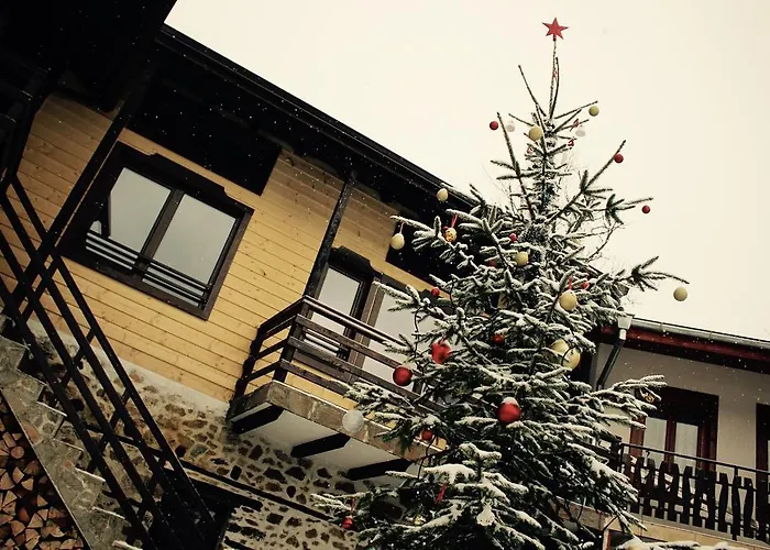 招待所 Kutsinska House 4*