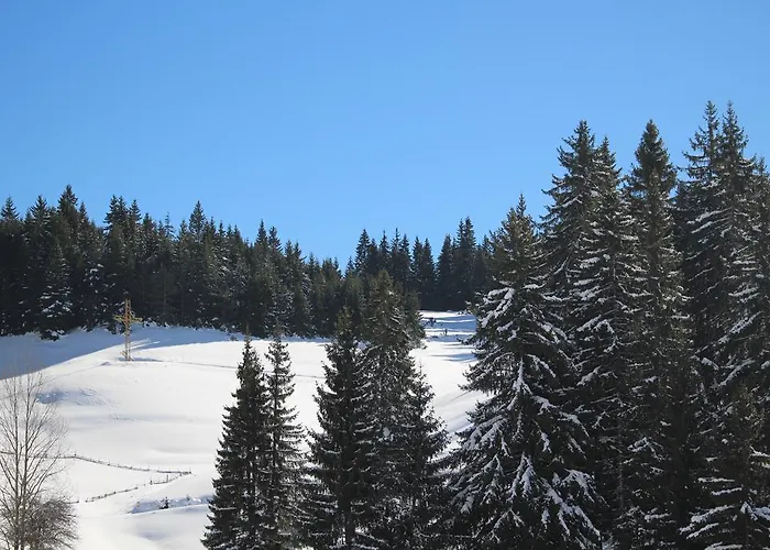 Kutsinska House 招待所