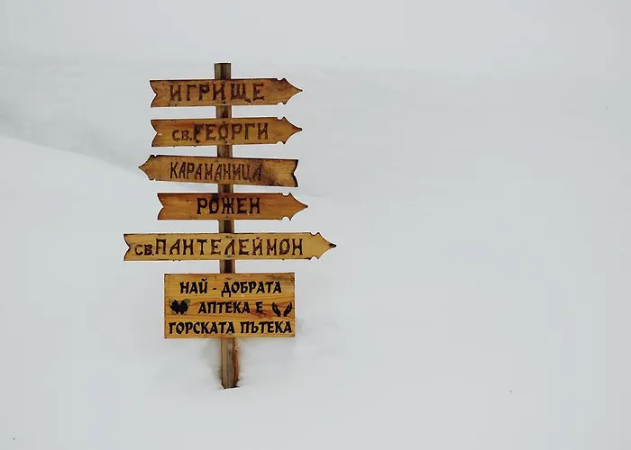 招待所 Kutsinska House