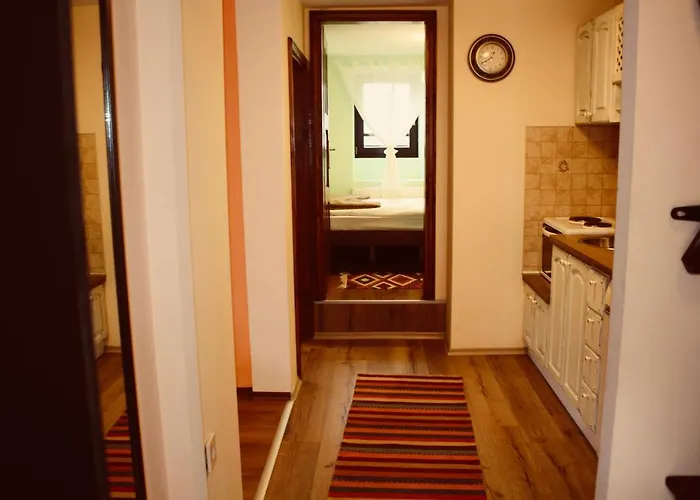 招待所 Kutsinska House 4*