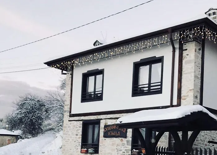 招待所 Kutsinska House 4*
