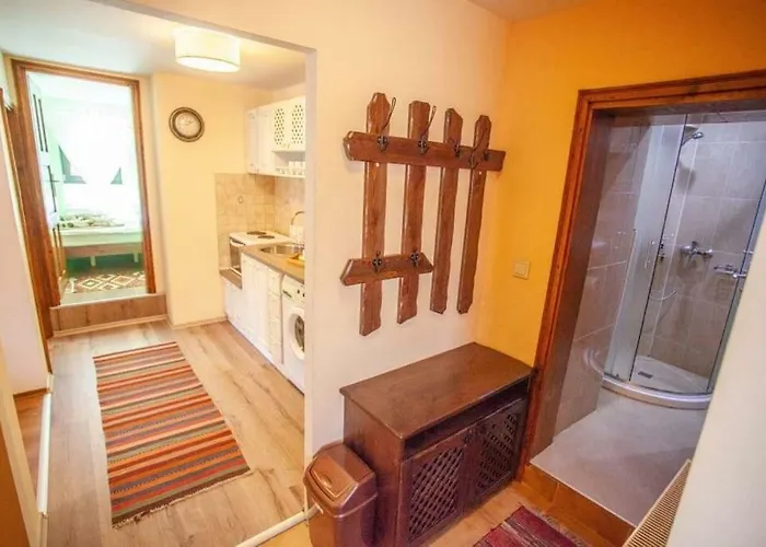 招待所 Kutsinska House